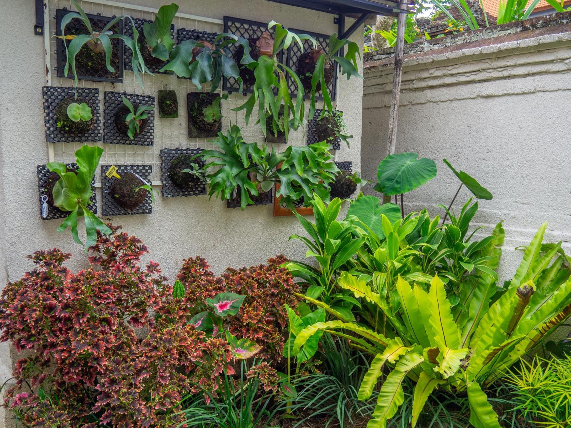 Arumasta Ubud Exterior photo